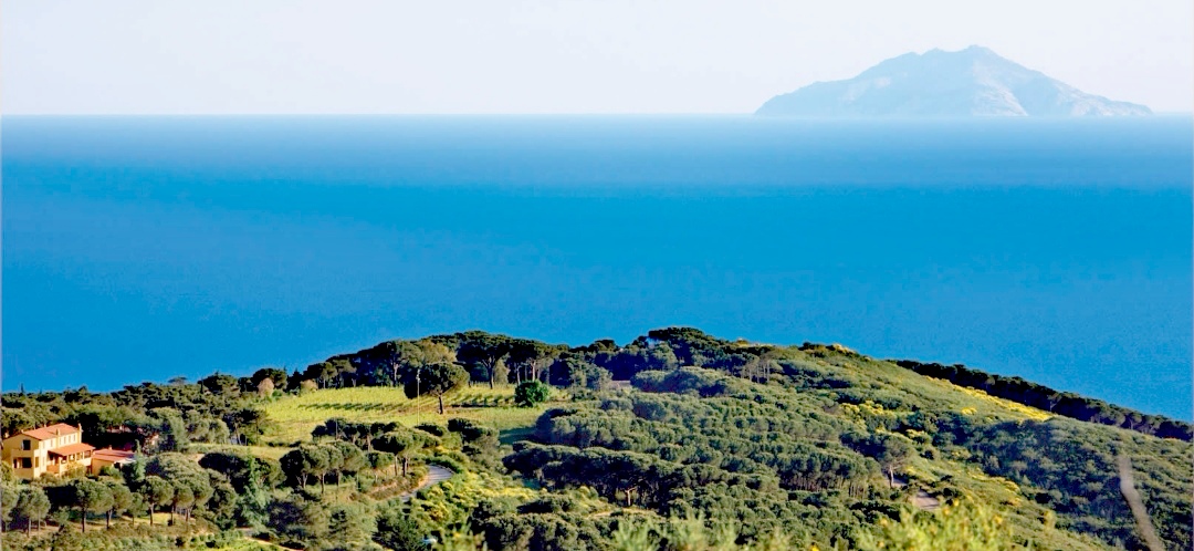 Tenuta Delle Ripalte All Isola Delba Una Finestra Sull Immensit